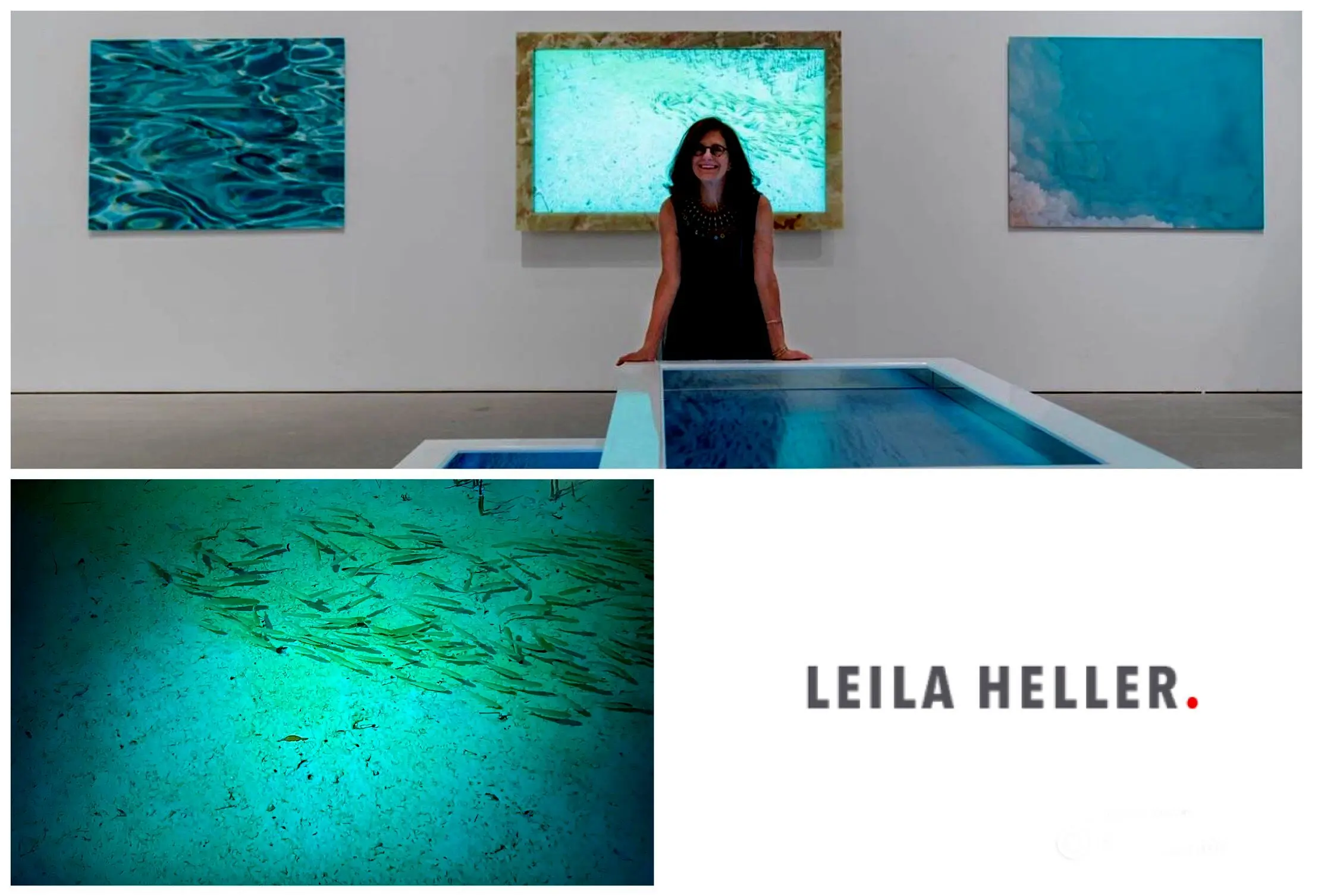 Maxi Cohen's first solo Exhibition has shown in Leila Heller Gallery Dubai 