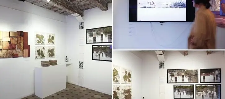 NYUAD students and graduates participate in international art exhibition in Venice
