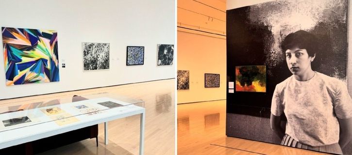 'Samia Halaby: Eye Witness' at the MSU Broad Art Museum - in pictures