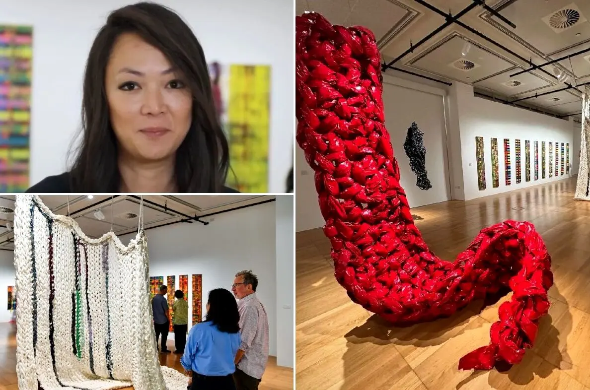 The Project Space hosts Susan Doe’s 'Entwined' exhibition 