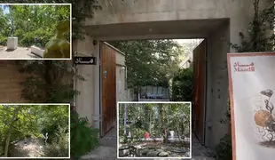 MAAD Gallery, the Story of Bagh-e 13 Chenar in Darakeh, and 22 Artists |
Watch Kimia Nakhaei's video report from MAAD Gallery