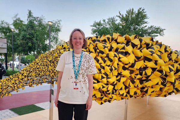 Leonie Bradley with 1400 bees form eye-catching artwork at Expo City Dubai | Photos
