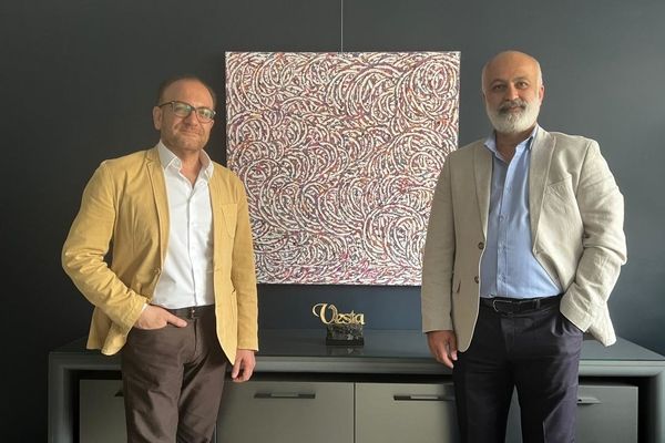 Hamidreza Shafiei and Behdad Najafi’s Abstract-Arabesque Painting