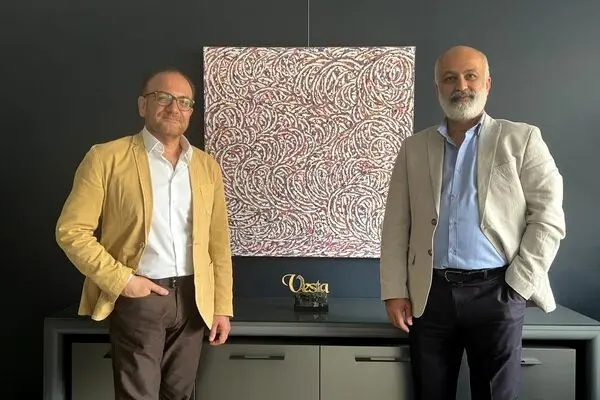 Hamidreza Shafiei and Behdad Najafi’s Abstract-Arabesque Painting