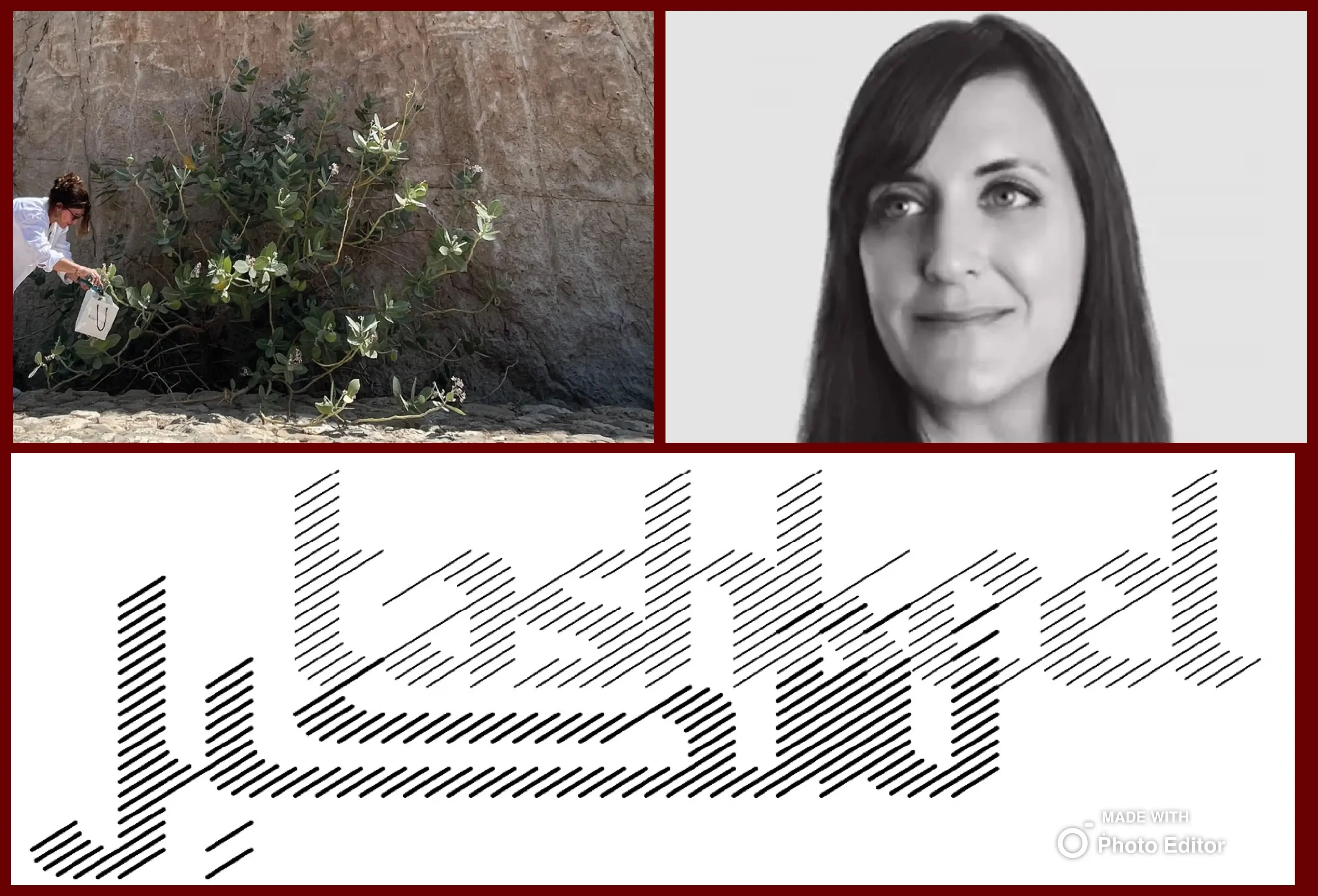 Lesley Ann Gray has written about “Ways of Seeing” 
